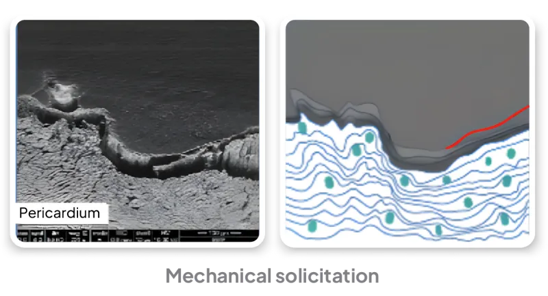 Diagram of current adhesives - bond weakness